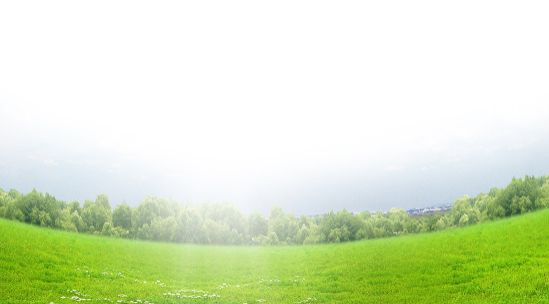 home_product_bg